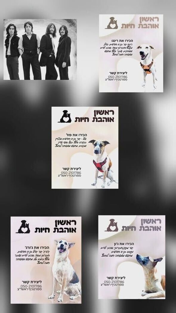 צילום מתוך דף הפייסבוק עמותת ראשון אוהבת חיות