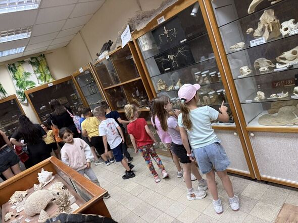 צילום מתוך דף הפייסבוק בית חינוך גורדון לאומנויות - צועדים בשביל ההצלחה
