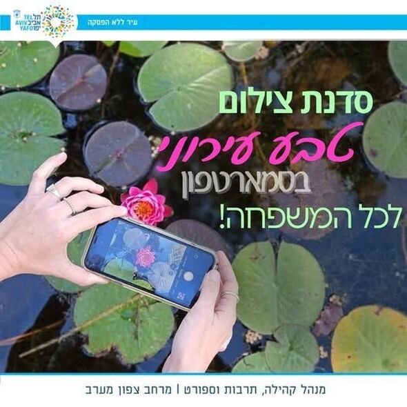 צילום:קרדיט צילום: לירון אלמוג