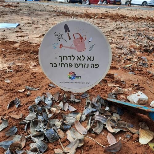 קרדיט צילום: ענת אהוד קרדיט צילום: ענת אהוד