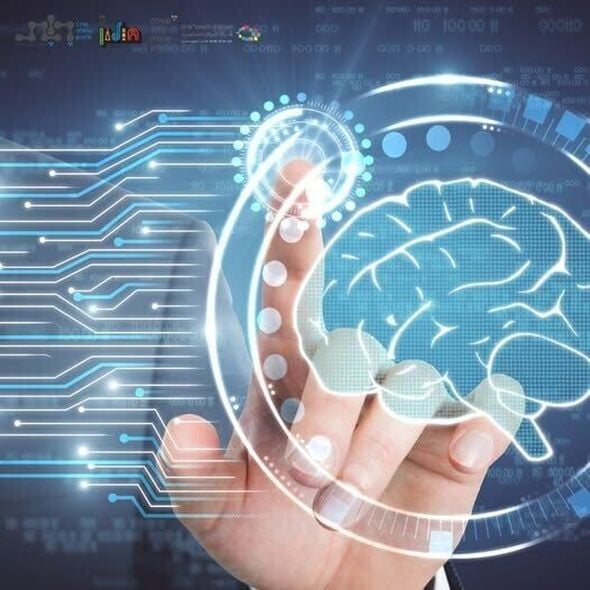 צילום מתוך דף הפייסבוק מרכז קהילתי וולפסון חולון