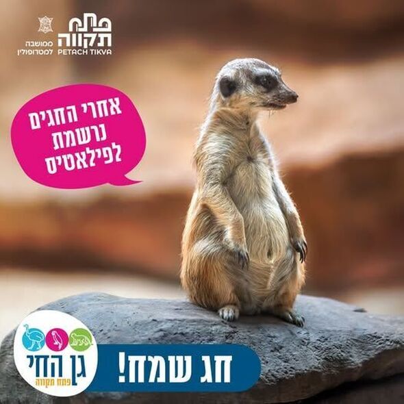 צילום מתוך דף הפייסבוק גן החי פתח תקווה